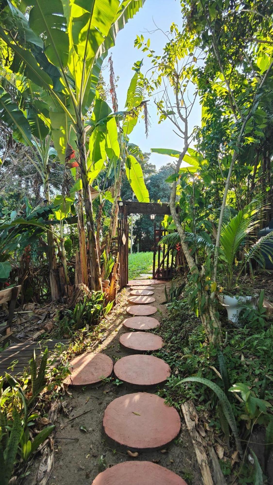 Eco Hostel Bosque Di Barro Velha Boipeba Eksteriør billede